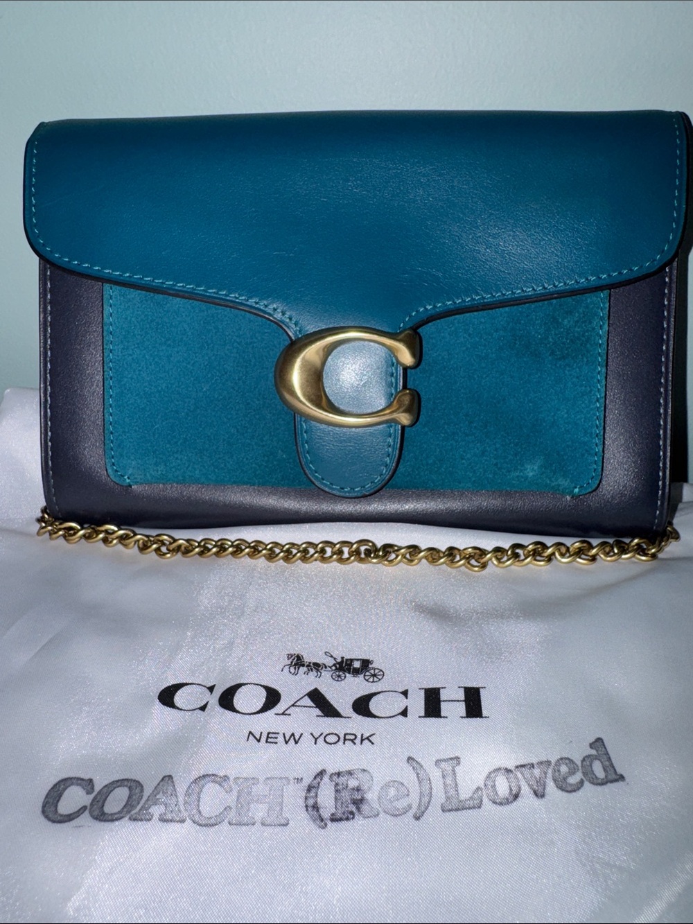 Coach Tabby Chain Clutch